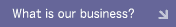What is our business?